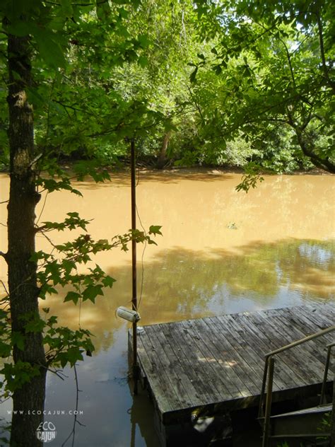 A New Tool to Help Reduce Runoff Pollution - Eco Cajun