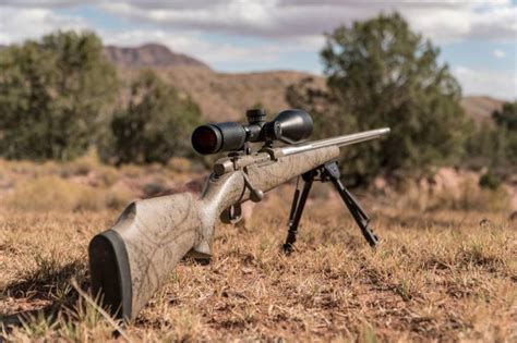 Finally: 6 Best Budget-Friendly Long Range Hunting Rifles