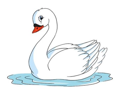 ¿Cómo dibujar un Cisne? | Swan drawing, Easy drawings, Drawings