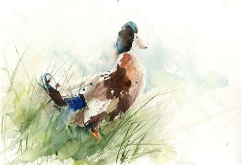 Mallard Duck Watercolor at GetDrawings | Free download