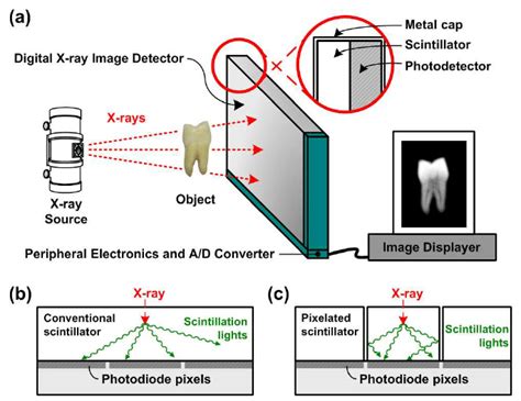 Digital X-ray detector and two different types of scintillator. (a ...