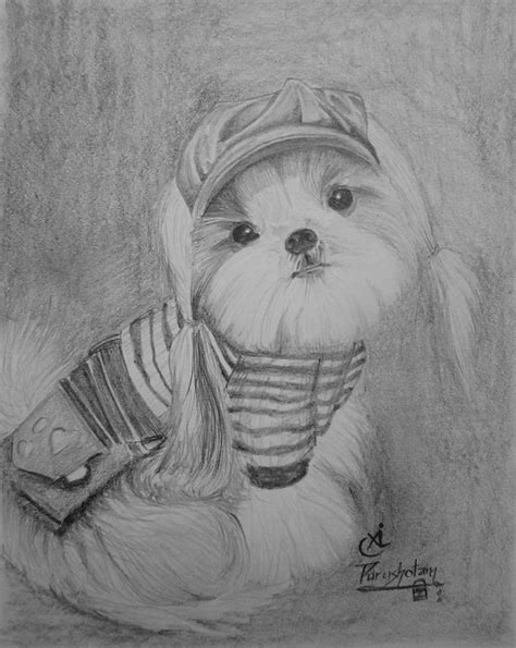 Droll Puppies Drawings In Pencil - l2sanpiero