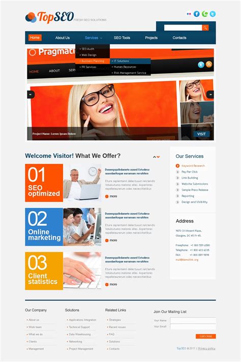 SEO Website Website Template #35017