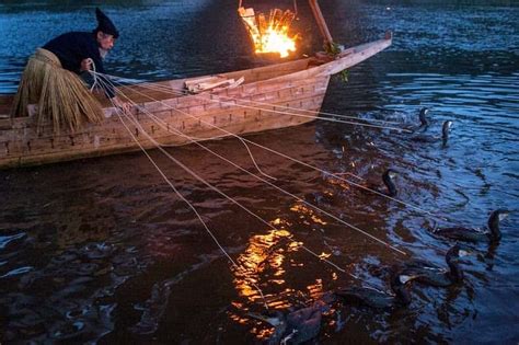 Japanese Cormorant Fishing