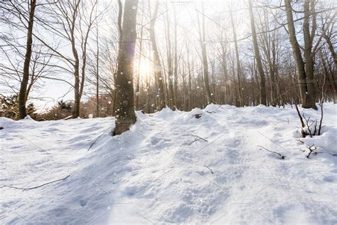 Snowy forest | High-Quality Nature Stock Photos ~ Creative Market