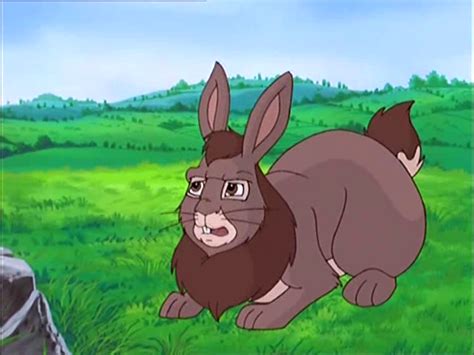 Bigwig - Watership Down Wiki