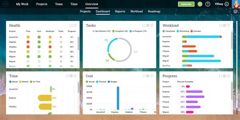 Project Portfolio Management Software - ProjectManager.com