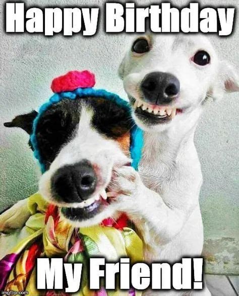 Birthday Friend | Happy birthday funny, Happy birthday animals, Funny happy birthday wishes