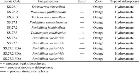 Siderophores produced by each strain of culturable fungi isolates ...