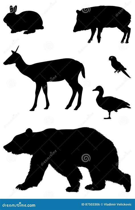 Forest animals silhouette stock vector. Illustration of deer - 87503306