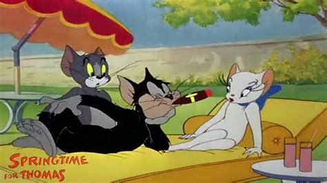 Springtime for Thomas 1946 Tom and Jerry Cartoon Short Film | Review ...