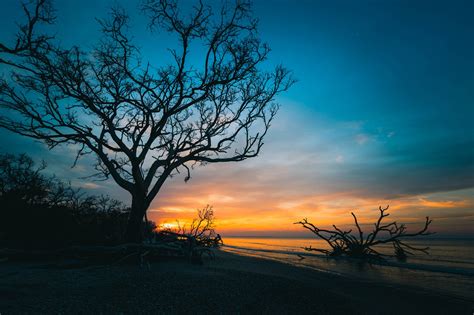 Botany Bay, South Carolina (Photo & Travel Guide)