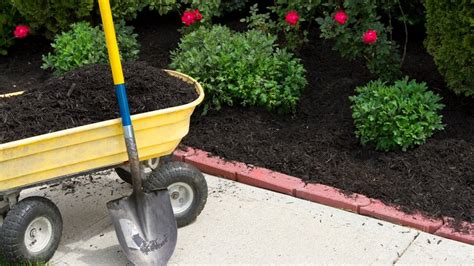 Want Free Mulch for Your Garden? Here's Where to Find It