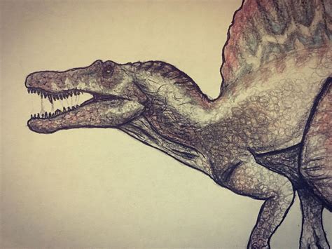 Jurassic Park Spinosaurus Drawing