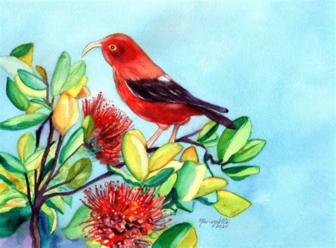 Iiwi Bird, Native Hawaiian Bird, Hawaii Honeycreeper, Fathers Day Gift, Scarlet Honeycreeper ...