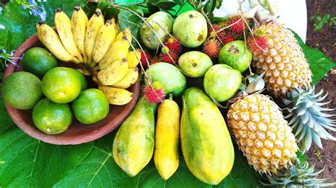 Fruits in Tamil , දෙමළ බසින් පළතුරු (Grade 03 - තුන වසර) - YouTube