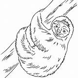 Cartoon Sloth Coloring Pages  XColoringscom sketch template