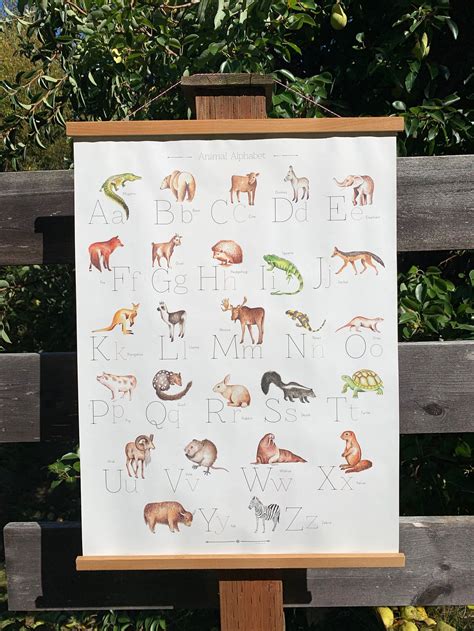 Animal Alphabet Poster - Etsy