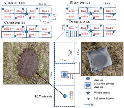 Figure 1 from Soil Fauna Accelerate Dung Pat Decomposition and Nutrient Cycling into Grassland ...