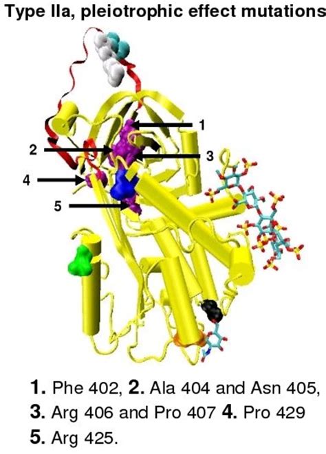 Antithrombin - wikidoc