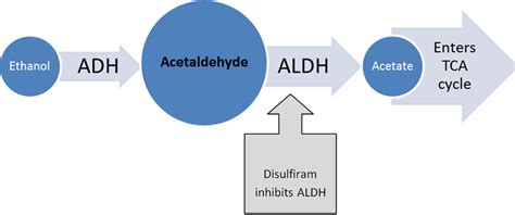 Disulfiram in the management of alcohol dependence: A comprehensive clinical review