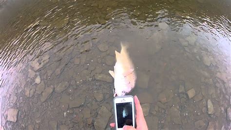 Rocky River Ohio Fishing 05.10.14 - YouTube