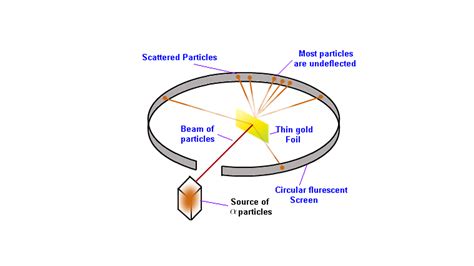 Enlist the conclusions drawn by Rutherford from his α ray scattering ...