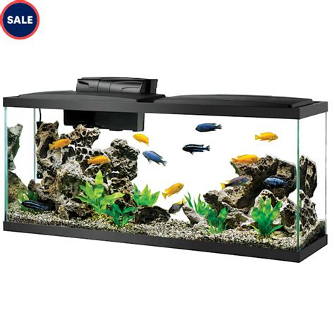 Aqueon Standard Glass Aquarium Tank 55 Gallon | Petco | 55G Fish Tank ...