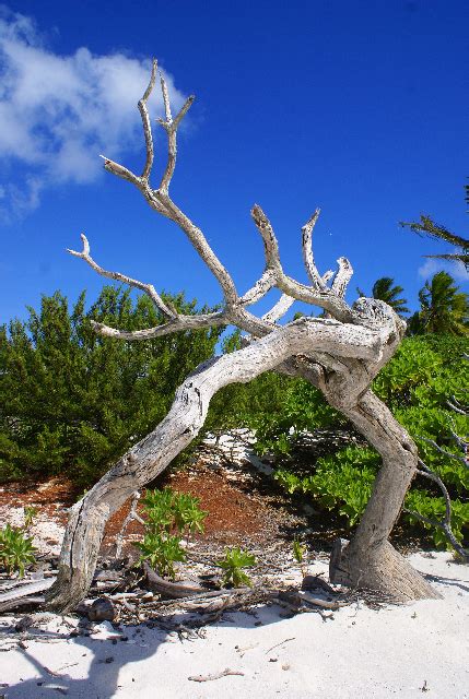 Islands of Oceania: Oeno Island