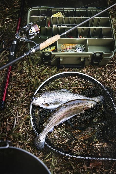 Tackle box and fish ground | Premium Photo - rawpixel