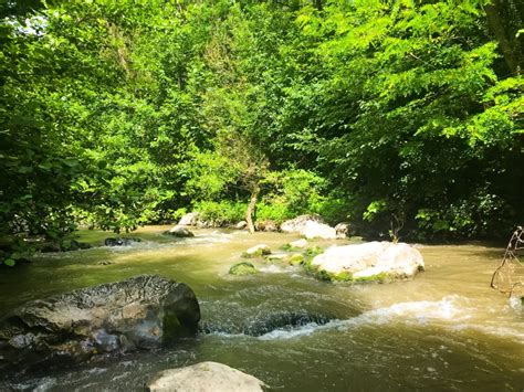 Turda Gorge: Land Of My Childhood In Transylvania - Wanderer Writes