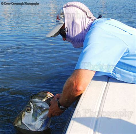 New Smyrna Beach Tarpon Fishing Guide • Ponce Inlet Tarpon Fishing Charters • Cocoa Beach Tarpon ...