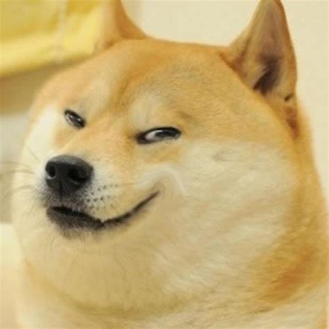 Lenny the doge : r/meme