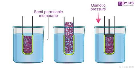 Osmotic Pressure - Definition, Formula, Examples, Solved Exercises