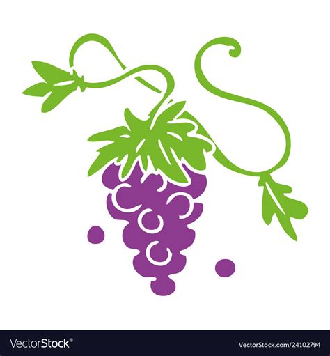 Cartoon doodle of grapes on vine Royalty Free Vector Image