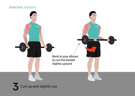 How to Do Barbell Curl: Variations, Proper Form, Techniques, Barbell ...