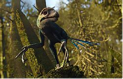 Epidexipteryx - Cool Dino Facts Wiki