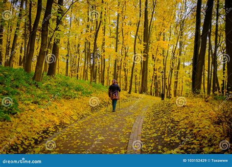 Mature Woman Walking Nordic Walk in a Park Stock Image - Image of leisure, tourist: 103152429