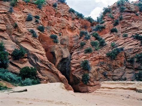 Entrance to the north fork: Sand Wash (Red Cave), Utah