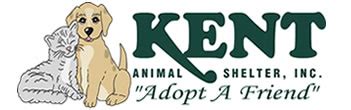 Kent Animal Shelter | Saving Lives in a Pandemic