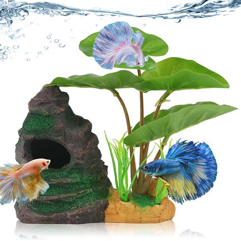 Betta Fish Bowl Decorations