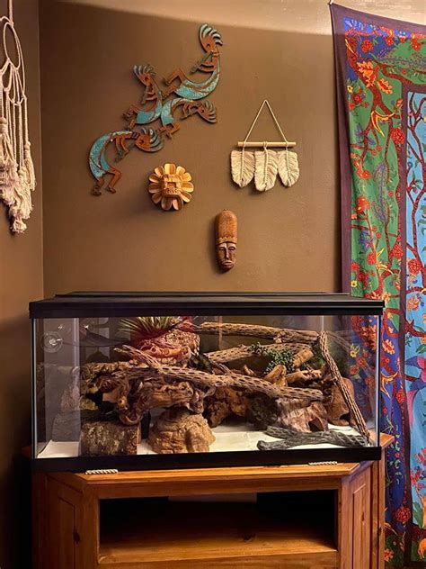 Leopard gecko setup | Leopard gecko setup, Gecko terrarium, Leopard ...