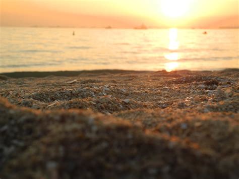 Free stock photo of beach, sand, sunset