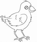 Crow coloring Page  Animals Town Animal color Sheets Picture sketch template