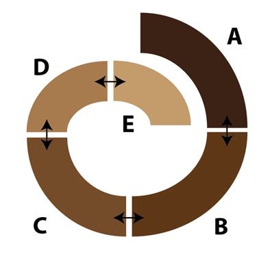 From Variation to Speciation - Article - BioLogos