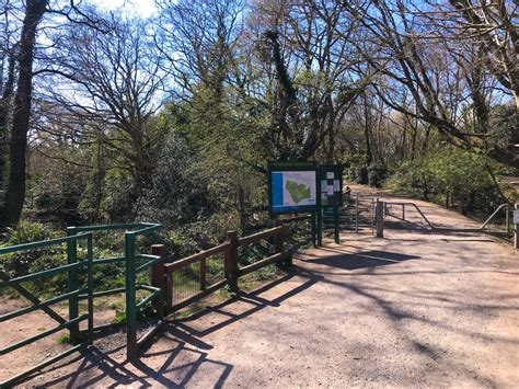 Walk around Warsash Nature Reserve - Bright Lights Big City