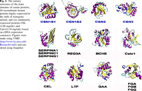 The tertiary structures of the main domains of casein proteins, 10 ...