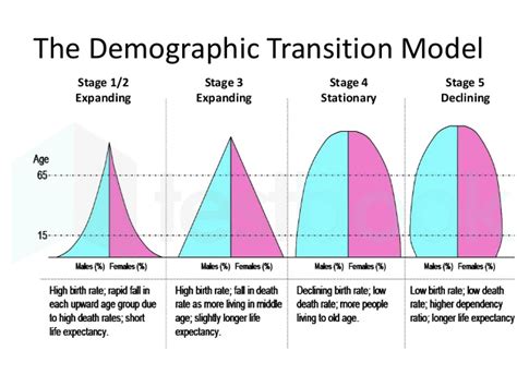 [Solved] In which of the following demographic transition stages, bot