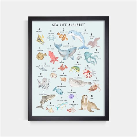 Sea Animal Alphabet Print – Prospect Print Co.