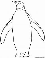 King Penguin Coloring Page At GetColoringscom  Free Printable sketch template